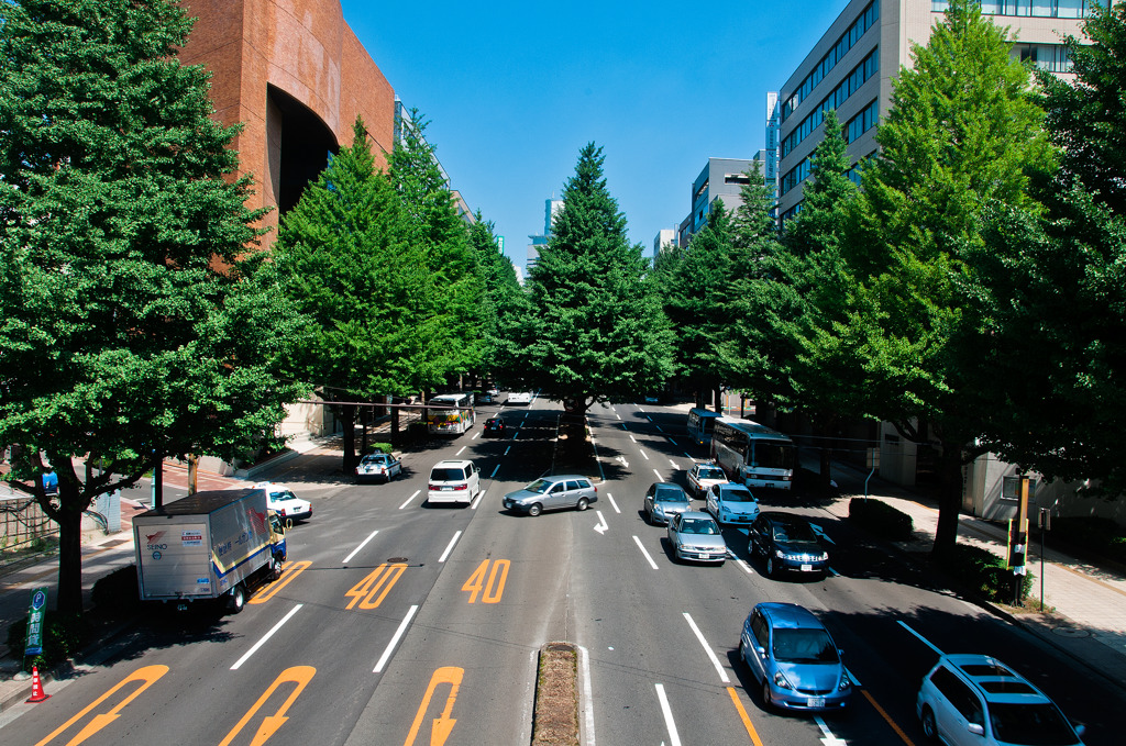 仙台市　広瀬通り 02