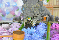 揚谷寺　03