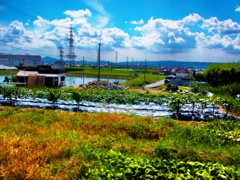 Hot Tenri city /HDR