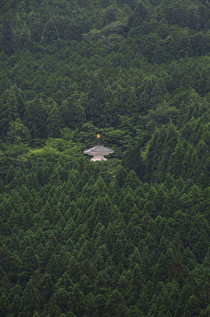 吉野 01　如意輪寺付近