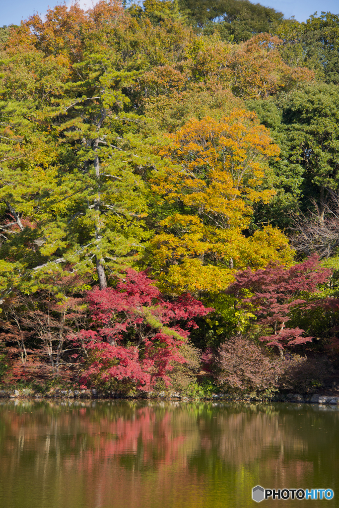 再度山の紅葉　７／９