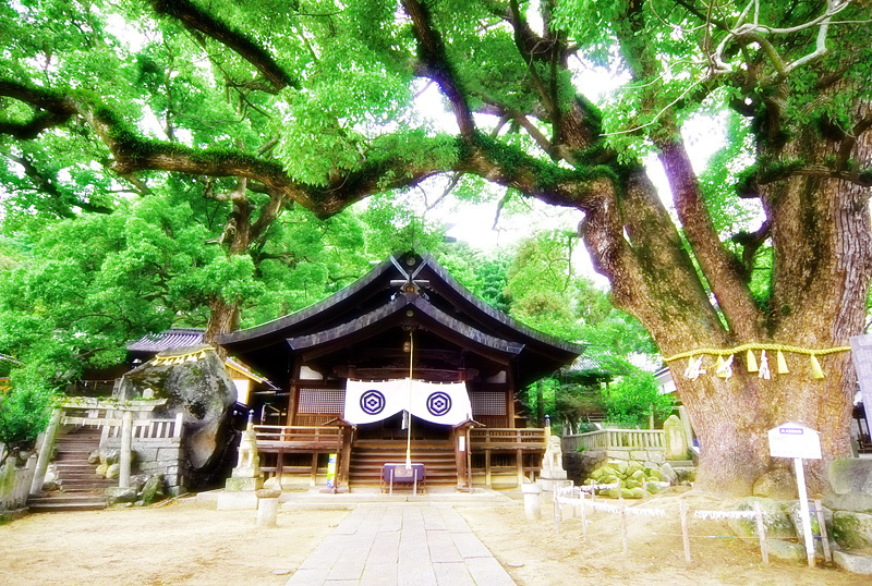 尾道　神社の雰囲気