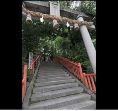 銀塩スライド ～ DSC_4197