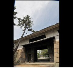 銀塩スライド ～ DSC_4162