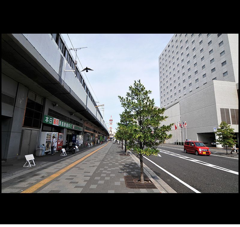 銀塩スライド ～ DSC_4224