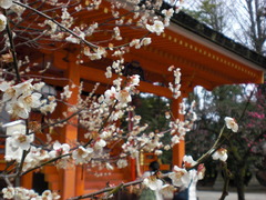 ２月北野天満宮