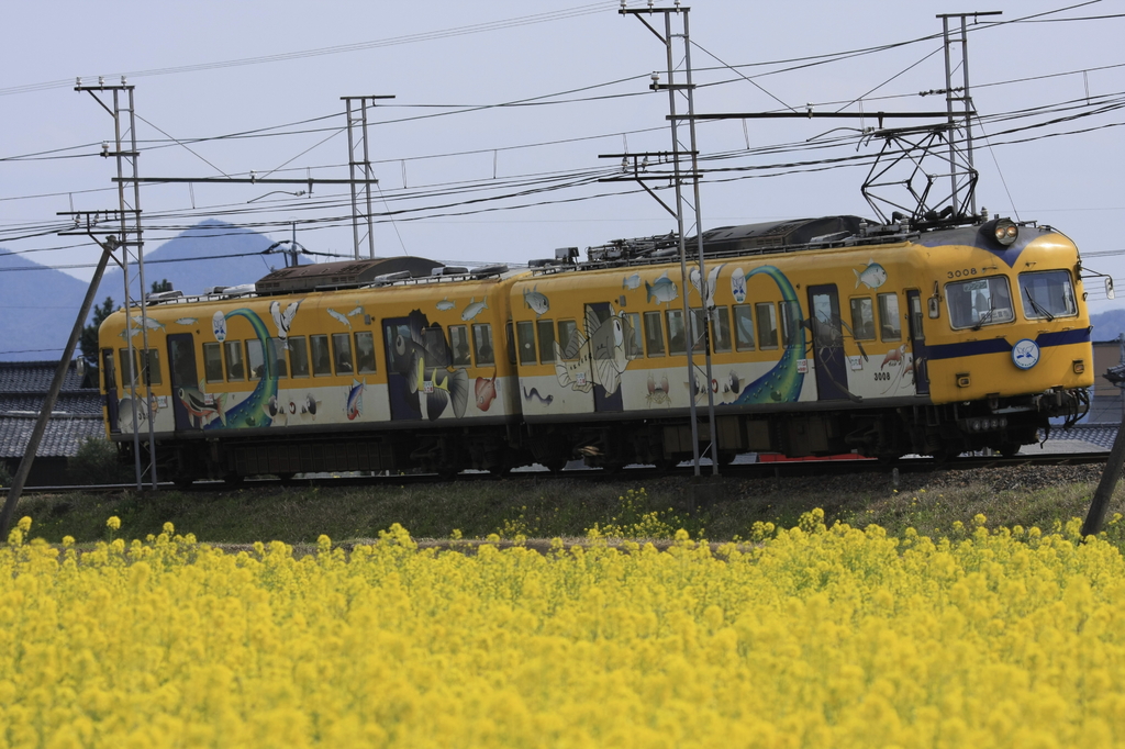 一畑電車　ラムサール号