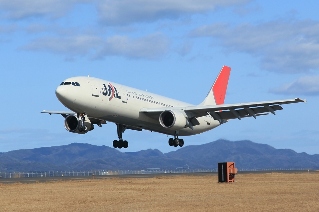 JAL A300-600R