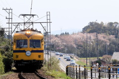 一畑電車と桜