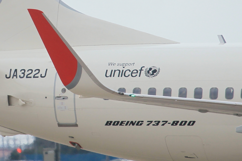 JAL B737-800