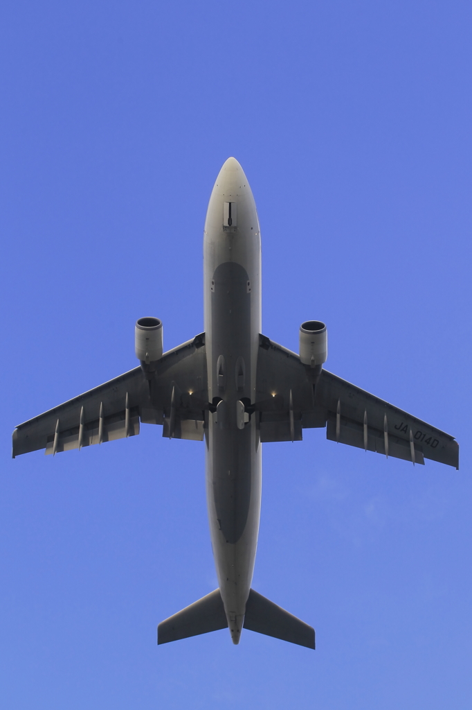 JAL A300-600R