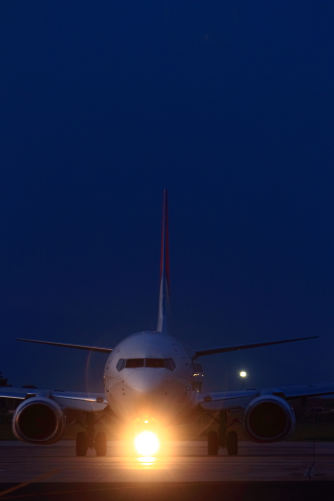 JAL B737-800
