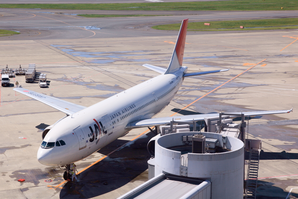 JAL A300-600R
