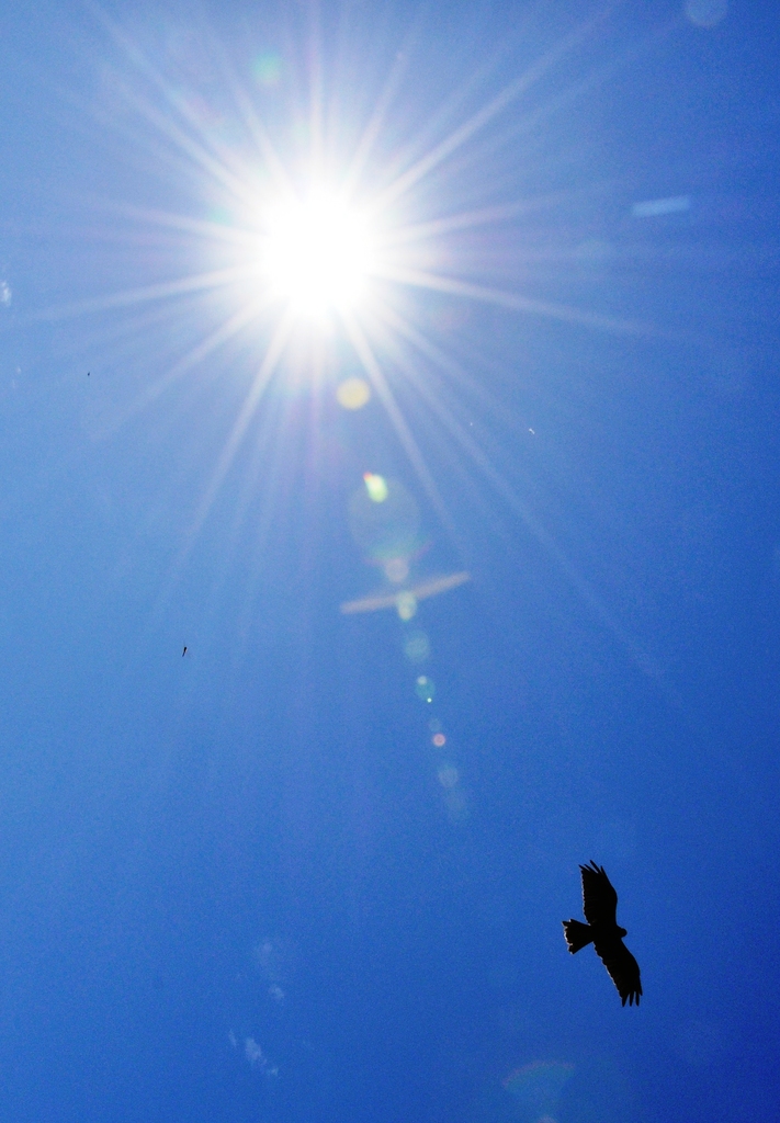 太陽は僕の敵