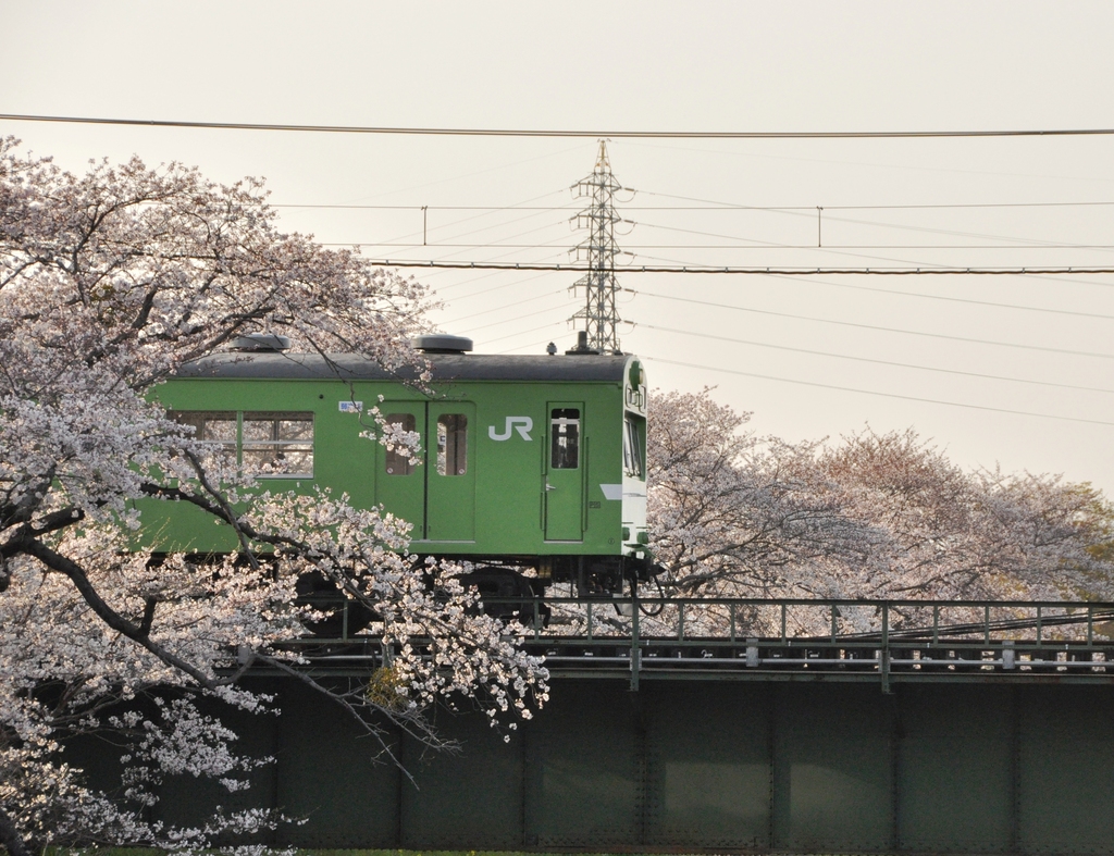 花橋　かけぬけて