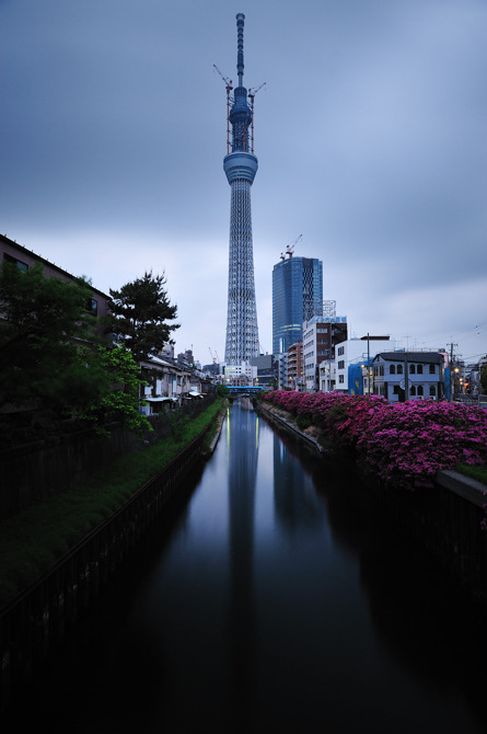 スカイツリー。