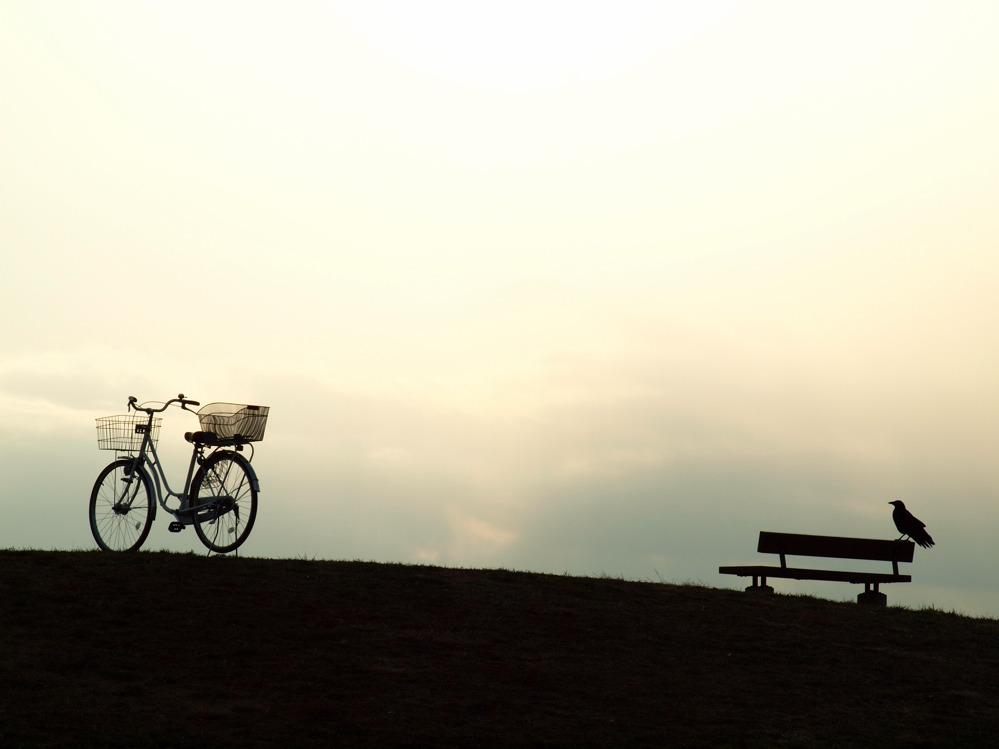 自転車とカラス。