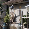 四コマ猫