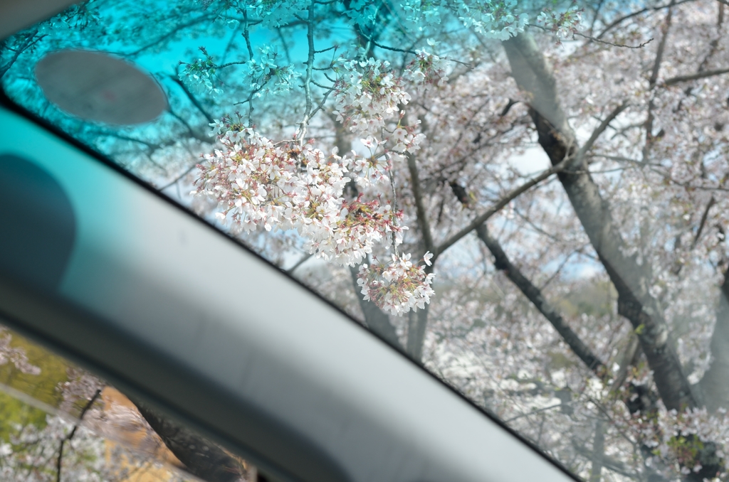 車窓から