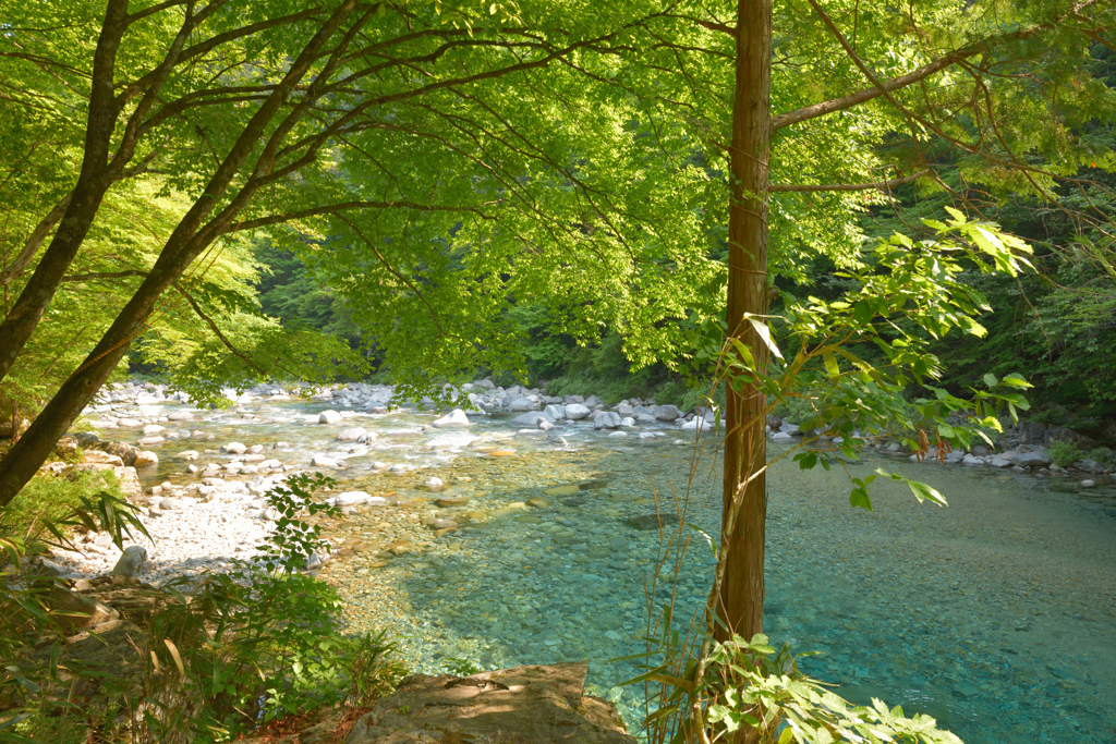 bluegreen