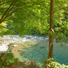 bluegreen
