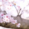 ふわっと