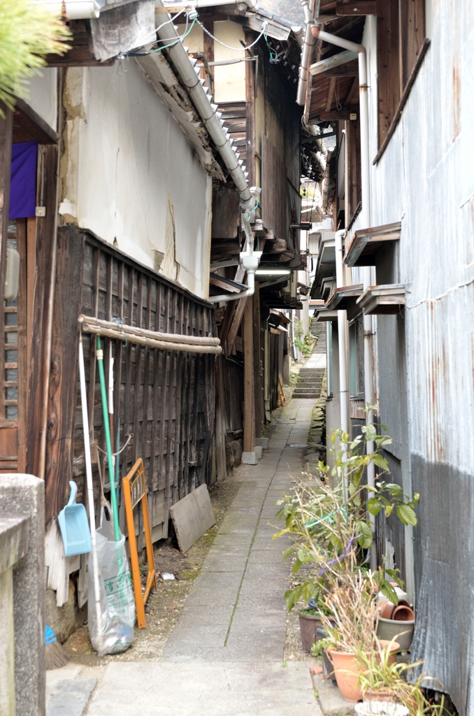 路地裏には・・・