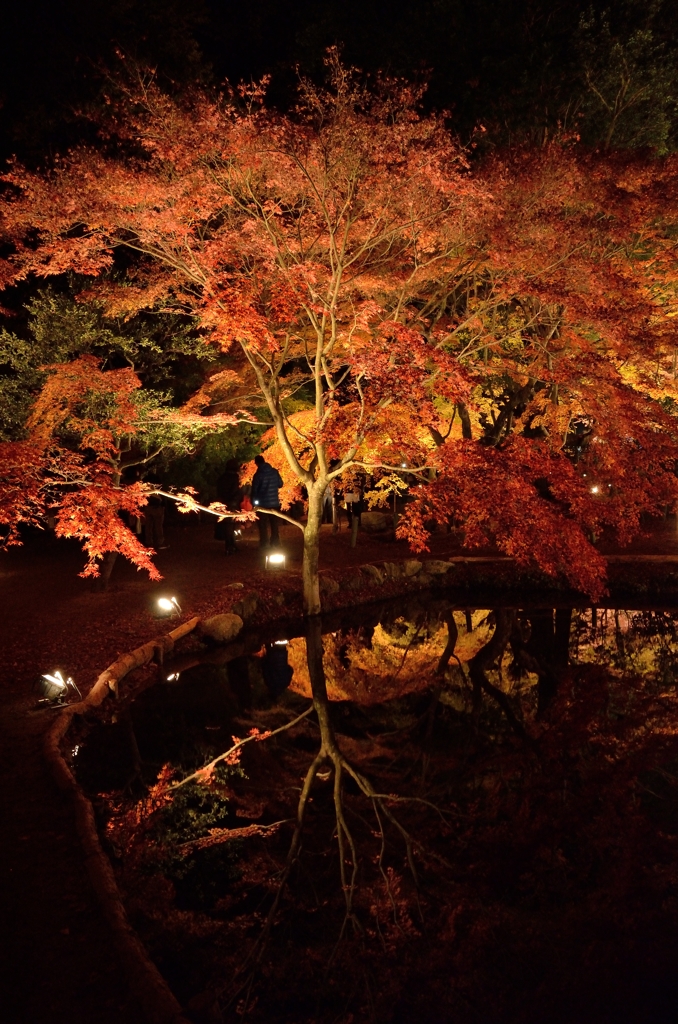 曽木公園