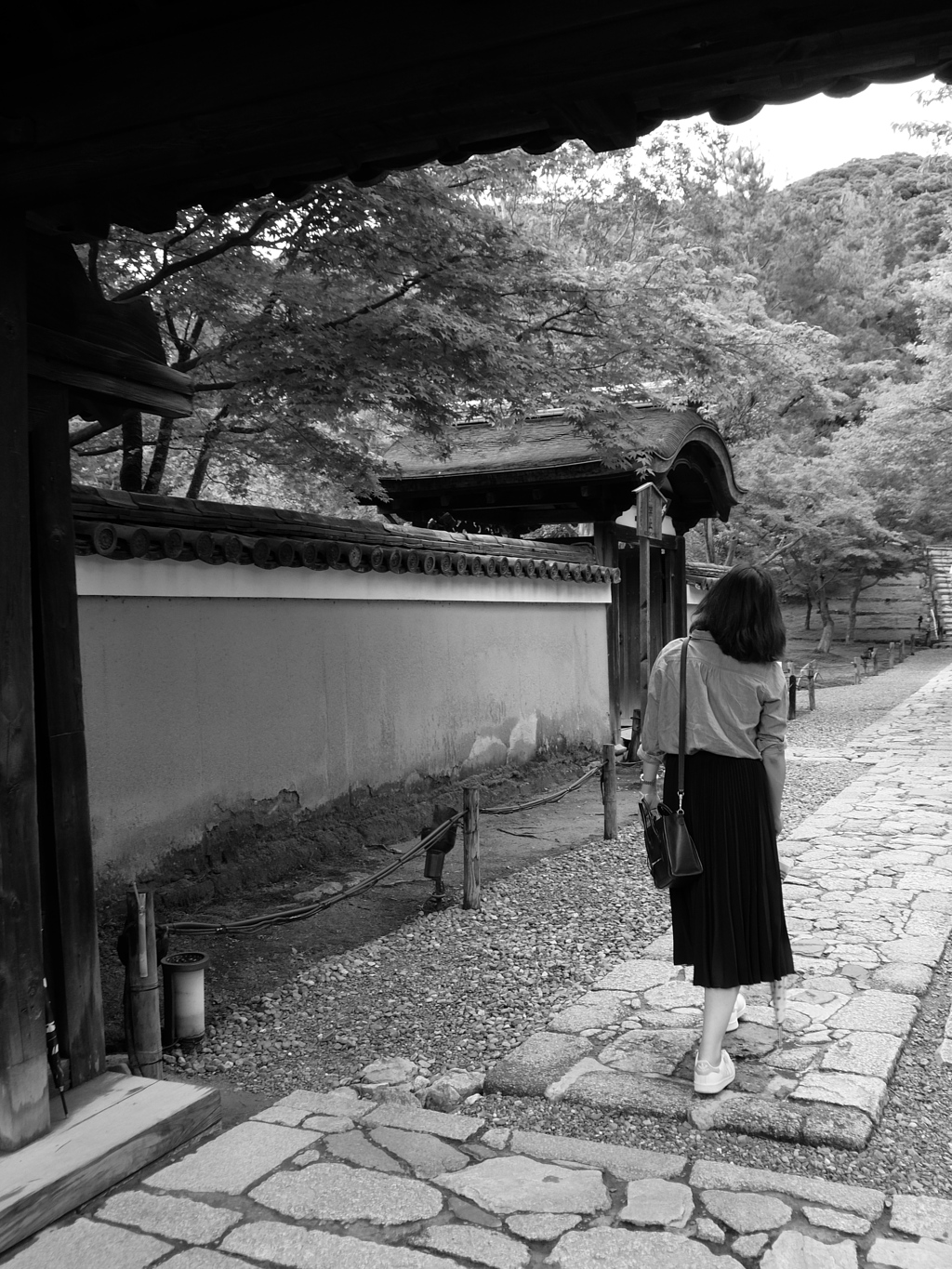 そうだ京都へ行こう