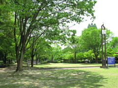昼の公園