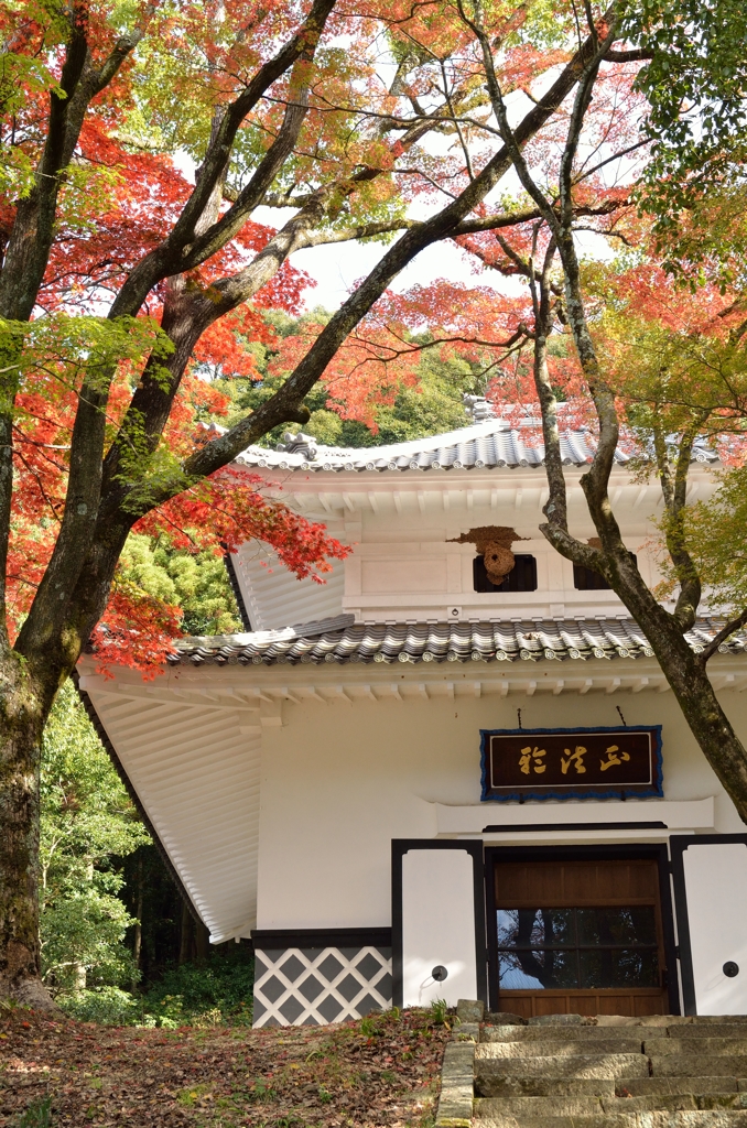 ハチの巣・・・