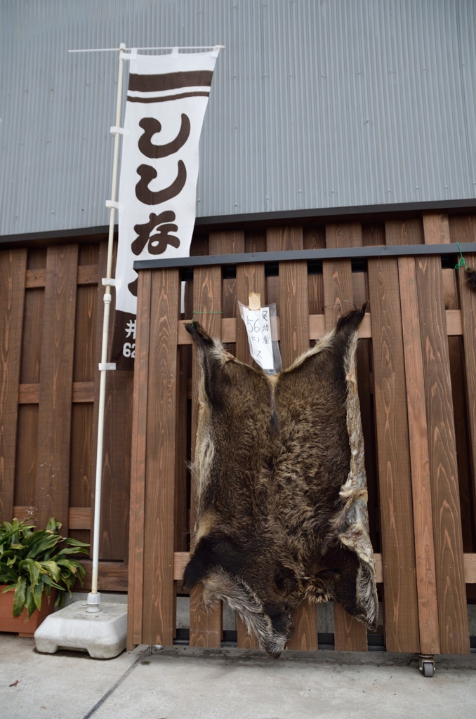 獲れました！！