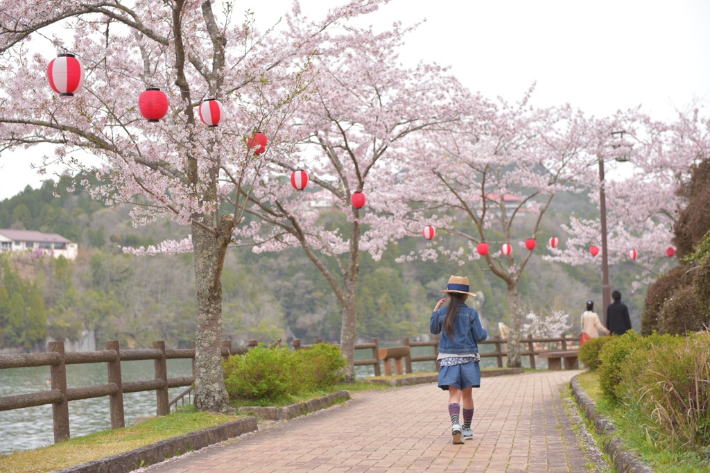 散歩道
