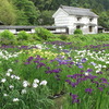 花菖蒲と加茂荘の蔵