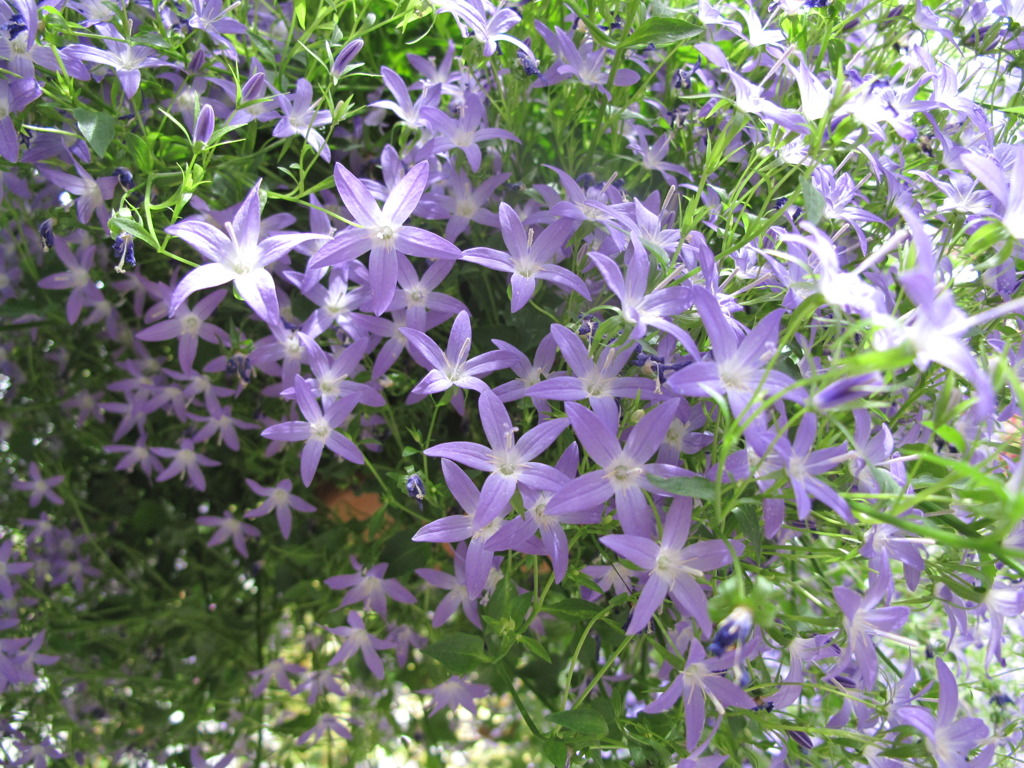 掛川花鳥園