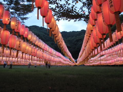 静岡懸護国神社　万灯みたま祭