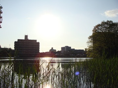 早朝の公園