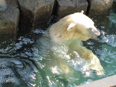 あぁ～気持ちいぃ～♪