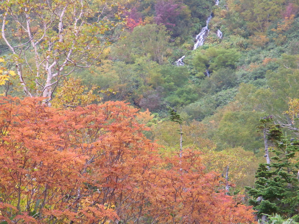 Mt. Tsugaike