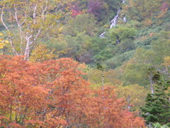 Mt. Tsugaike