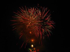夜に咲く花