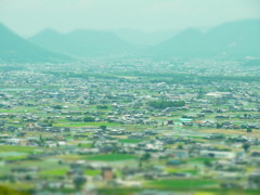 ほどよくみどり。