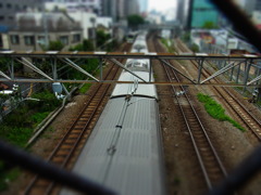 東京散歩日和①