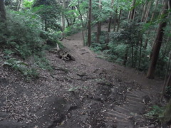 トレッキング