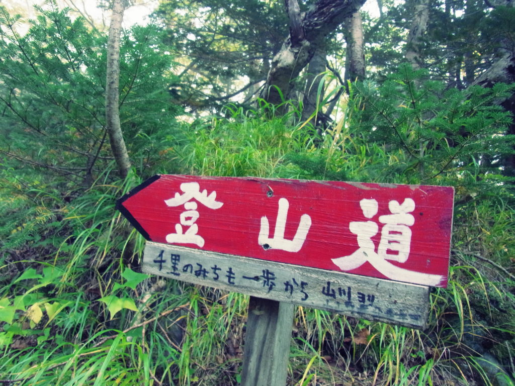 千里の道も一歩から