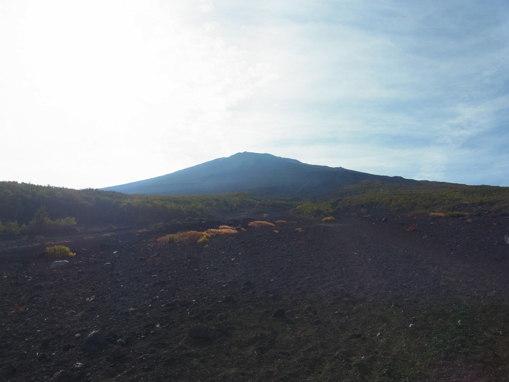 振り返れば山頂