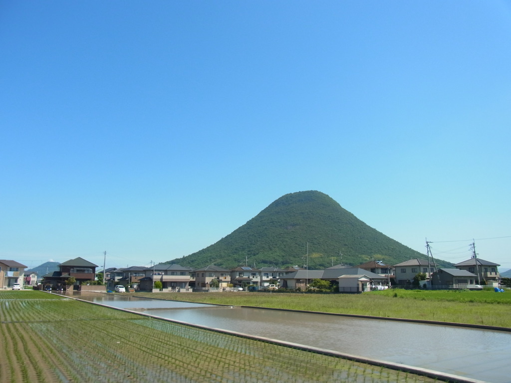 サヌキフジヤマ