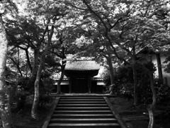 円覚寺にて