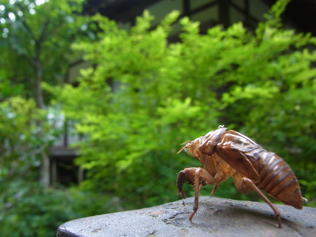 なつの発進基地。