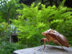なつの発進基地。